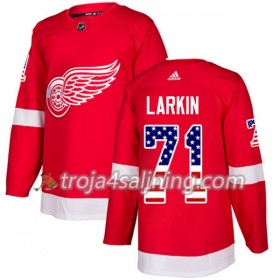 Detroit Red Wings tröja Dylan Larkin 71 Röd USA Flag Fashion 2017-2018 Adidas Authentic - NHL Tröjor Herr